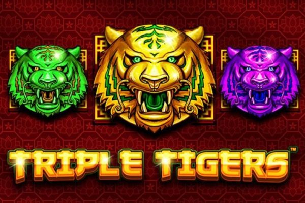 Triple Tigers – Review slot + Chơi miễn phí